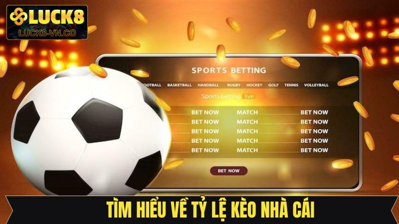 Khái quát dễ hiểu về những dạng cược hot