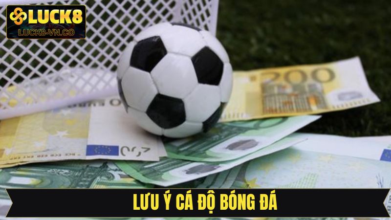 Chú ý khi tìm hiểu luật cá độ bóng đá Luck8
