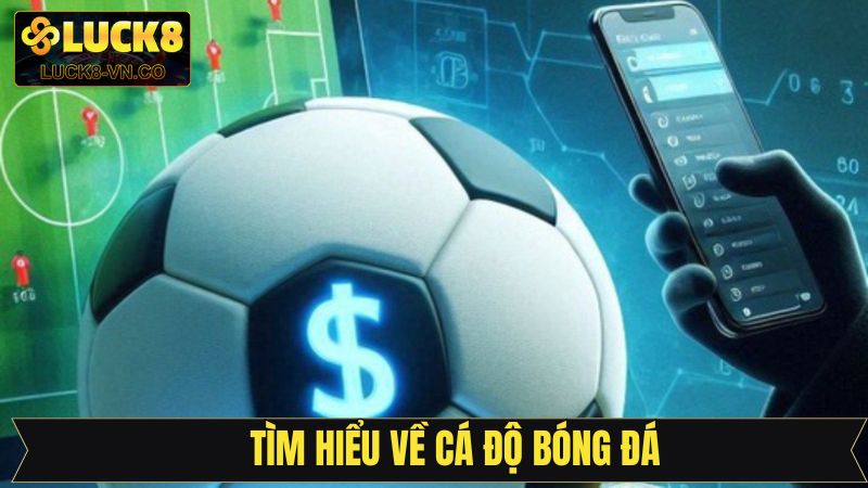 Tìm hiểu đôi nét về bộ môn cá cược bóng đá tại LUCK8