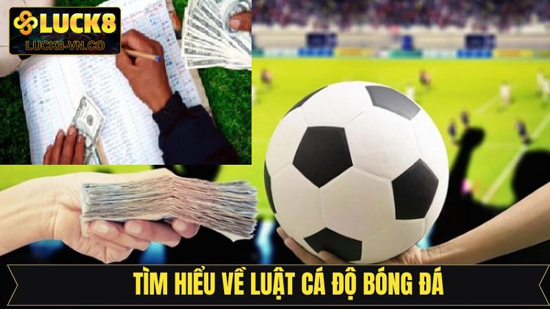 Quy định cơ bản về cá cược bóng đá tại Luck8